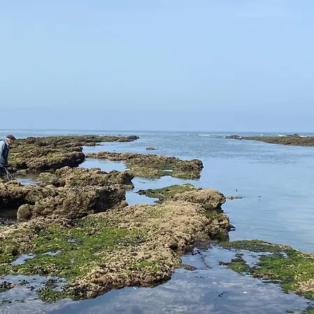 A 3mn A Pied De La Plage, A شقة بواركوس