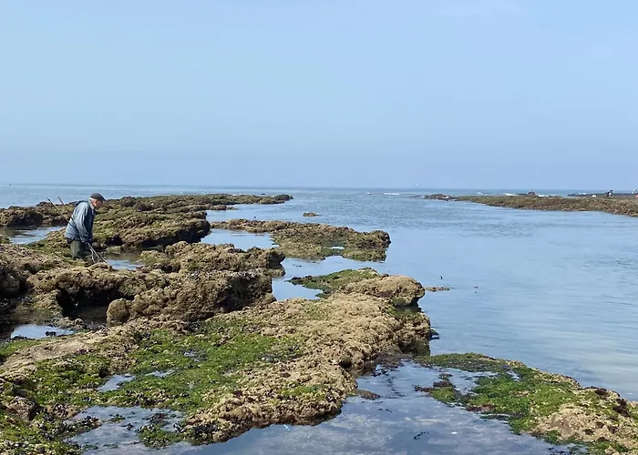 A 3mn A Pied De La Plage, A Apartament Buarcos